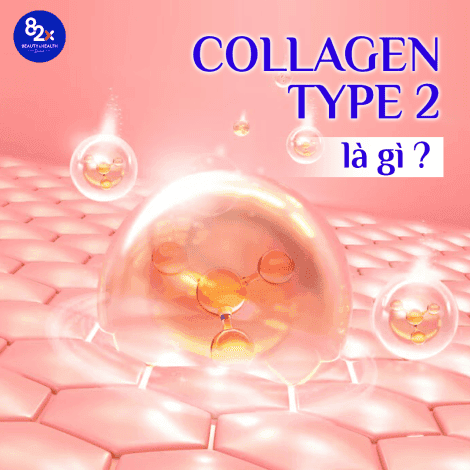 Collagen type 2 là gì? Gợi ý lựa chọn collagen phù hợp nhất