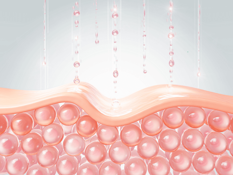 download_image (5).png