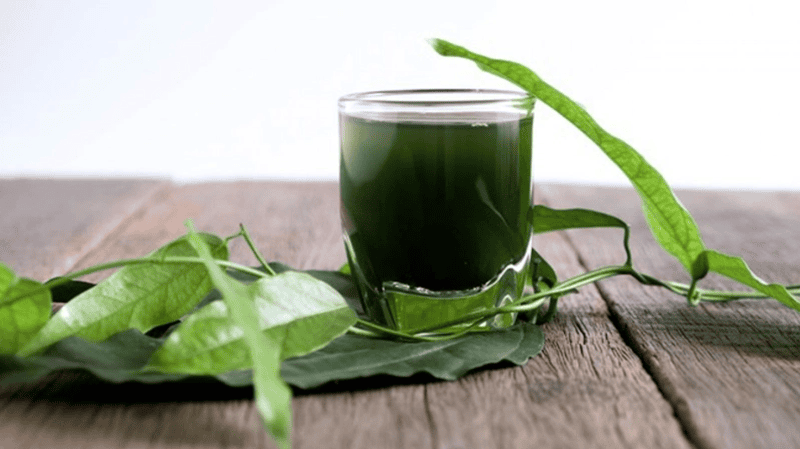 Collagen diệp lục là sự kết hợp giữa collagen peptide dễ hấp thu và chiết xuất diệp lục tự nhiên