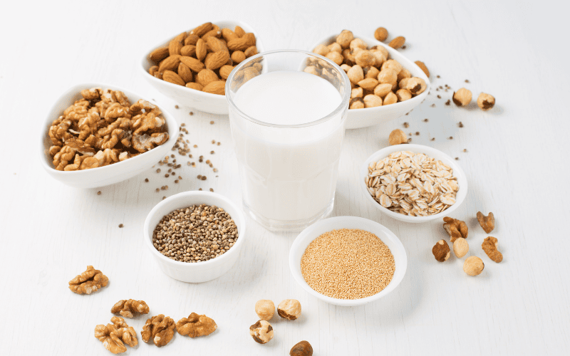 Sữa hạt – Bổ sung axit béo và vitamin cho làn da