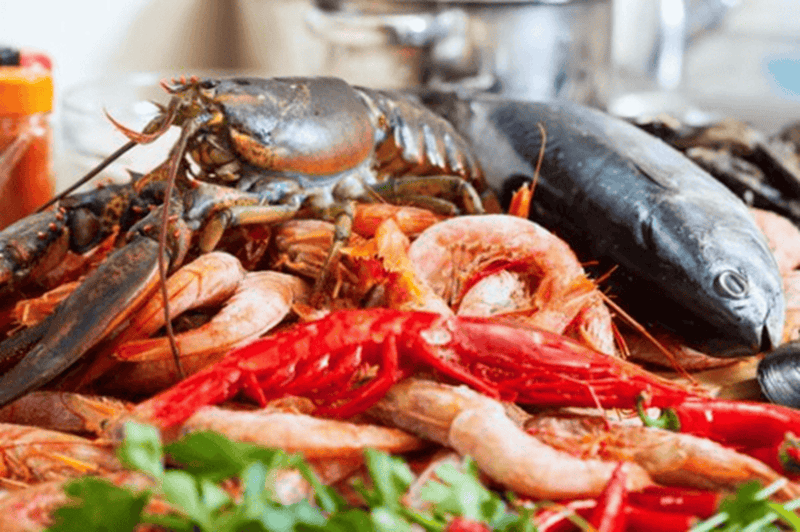 Cá và những loại động vật có vỏ