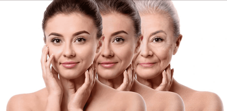 Collagen tuýp 1 được xem là “chìa khóa vàng” trong lĩnh vực làm đẹp và chăm sóc sức khỏe