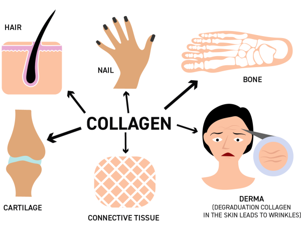 Tác Dụng Của Collagen_compressed