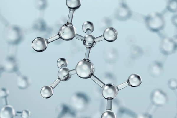 Fucoidan là gì