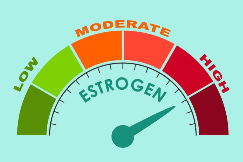 Cực-khoái-ở-phụ-nữ-do-estrogen