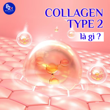 Collagen type 2 là gì? Gợi ý lựa chọn collagen phù hợp nhất