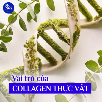 Collagen thực vật là gì? Collagen thực vật nào tốt cho sức khỏe?