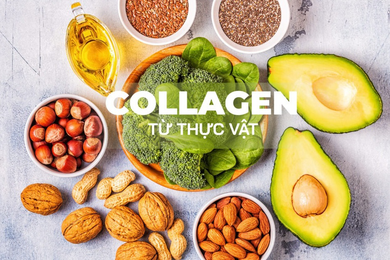 Collagen Thực Vật